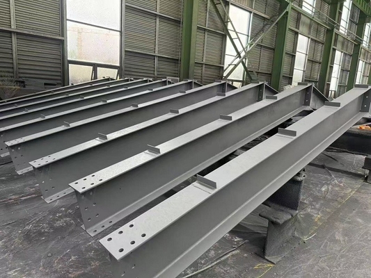 Sustainable Prefab Steel Poultry Housing Solutions Hot Dip Galvanized